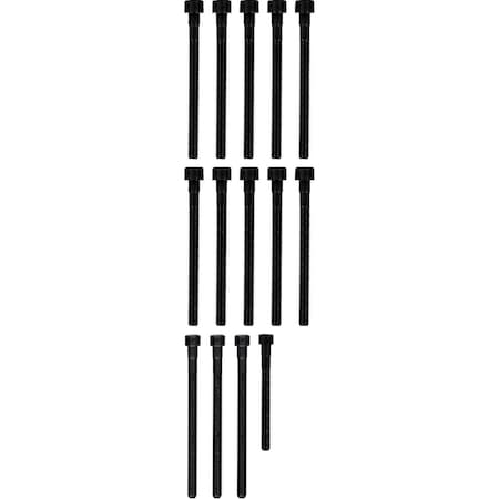 Reinz Head Bolt Set, 14-32315-01 14-32315-01